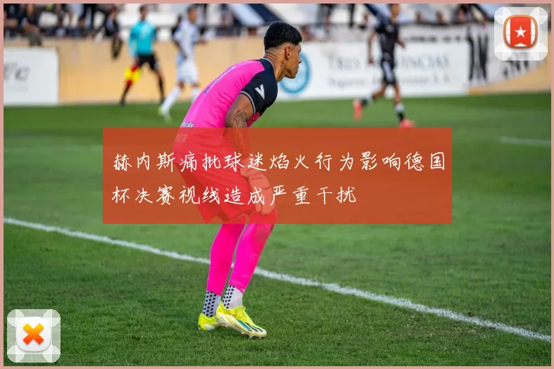 赫内斯痛批球迷焰火行为影响德国杯决赛视线造成严重干扰