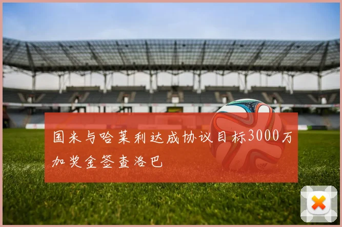 国米与哈莱利达成协议目标3000万加奖金签查洛巴